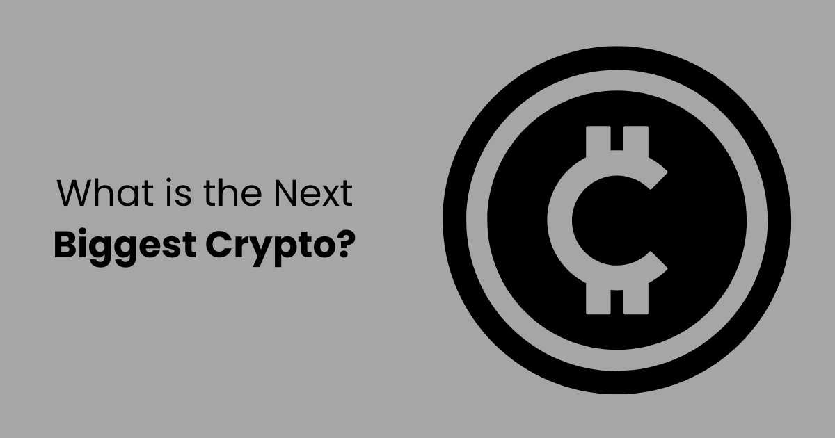 What-is-the-Next-Biggest-Crypto.