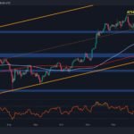 BTC D 1 scaled