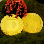 Dogecoin from Unsplash 58